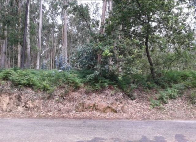 Lote para construção Vila de Cucujães Oliveira de Azeméis