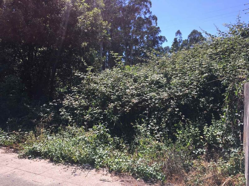 Land with 324sqm São Martinho da Gândara Oliveira de Azeméis