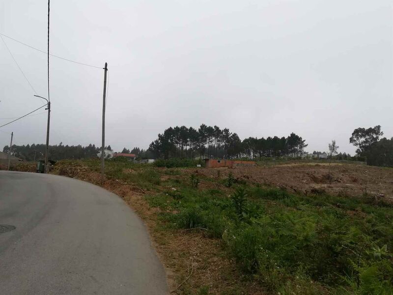 Plot of land Rustic with 13260sqm Silvalde Espinho on sale