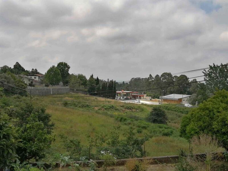 Lote de terreno Rústico com 5361m2 Oliveira de Azeméis