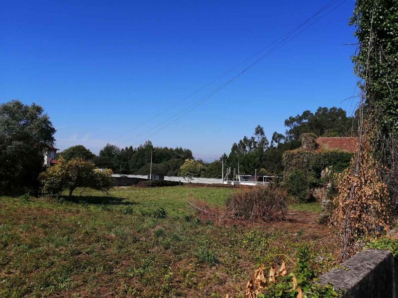 Land Urban with 13646sqm Branca Albergaria-a-Velha - easy access