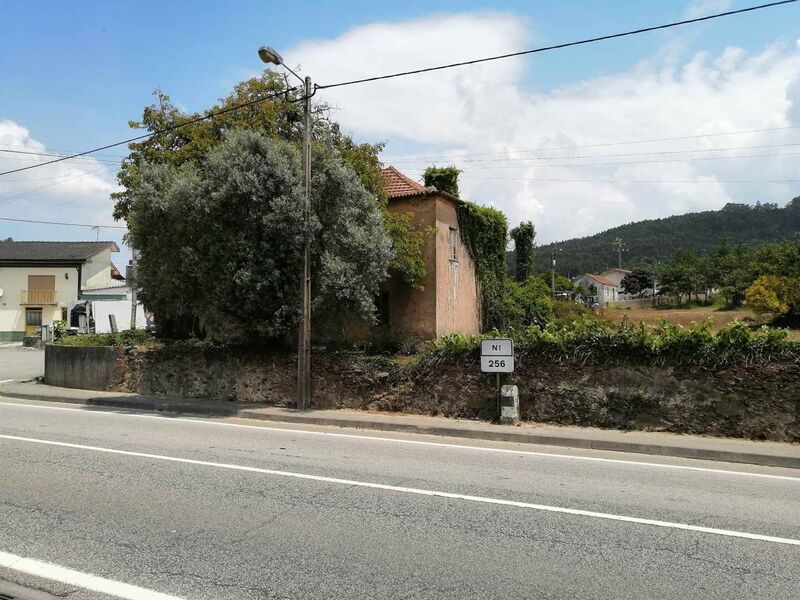 Land Urban with 13646sqm Branca Albergaria-a-Velha - easy access