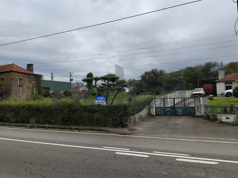 Terreno Urbano com 13646m2 Branca Albergaria-a-Velha - bons acessos