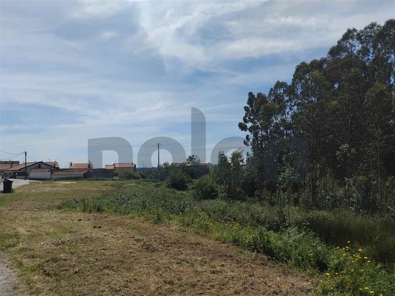 Lote de terreno Urbano com 8090m2 Angeja Albergaria-a-Velha
