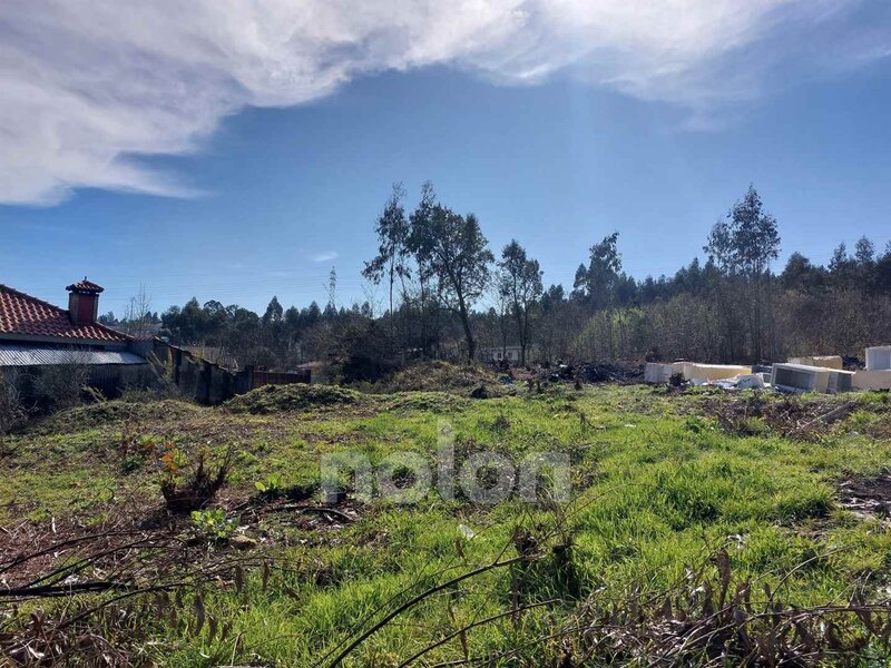 Land Agricultural with 2700sqm Sanguedo Santa Maria da Feira