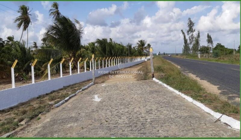 Quinta/Herdade Salema