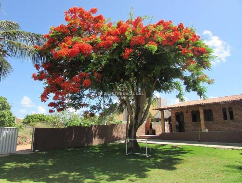 House/Villa 3 bedrooms Carapibus Conde