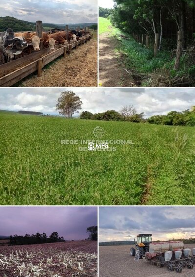 Quinta/Herdade V0 Ribeirão Branco