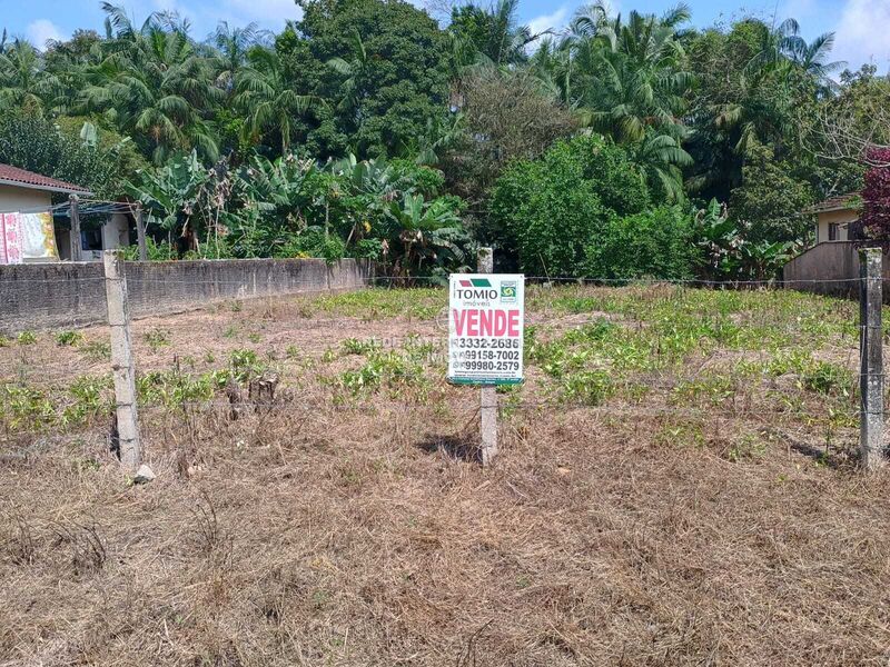 Terreno Margem Esquerda Gaspar