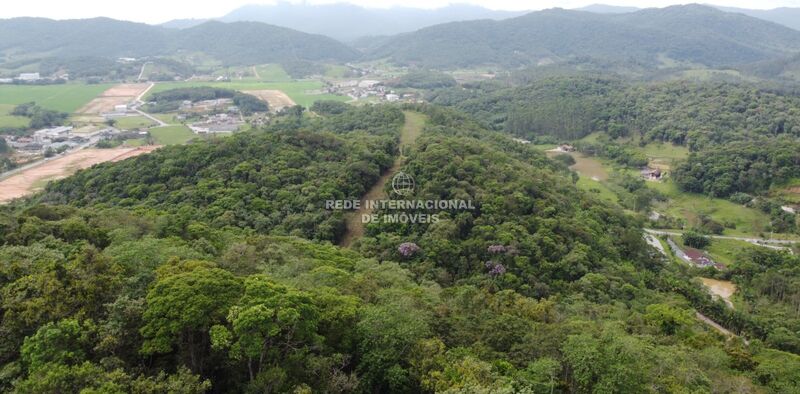 Land with 50186sqm Gasparinho