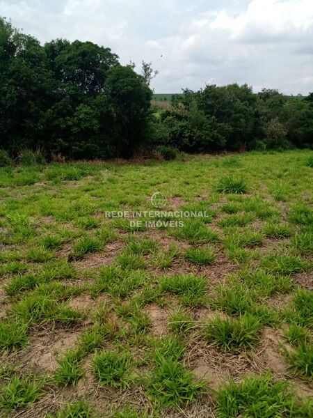 Terreno com 4500m2 Lageadinho Cotia