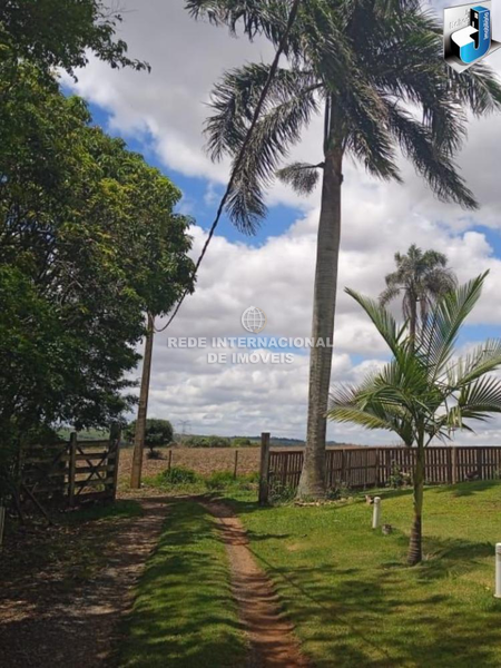 Farm 2 bedrooms Campininha São Paulo - barbecue