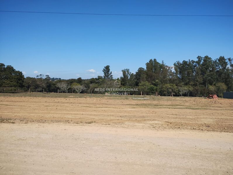 Land with 1000sqm Centro Pereiras