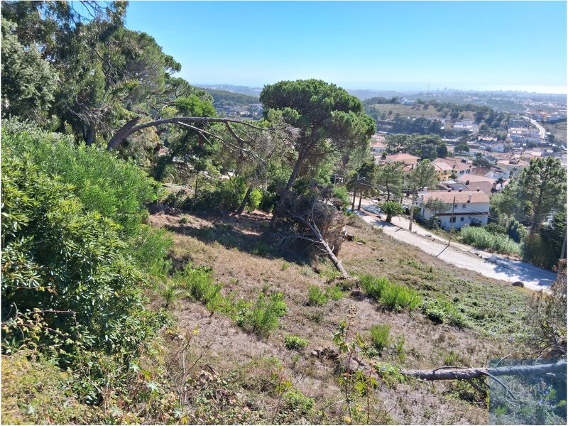 Terreno Urbano para Construção com uma área de 1935 m2 com vista Mar em Janes