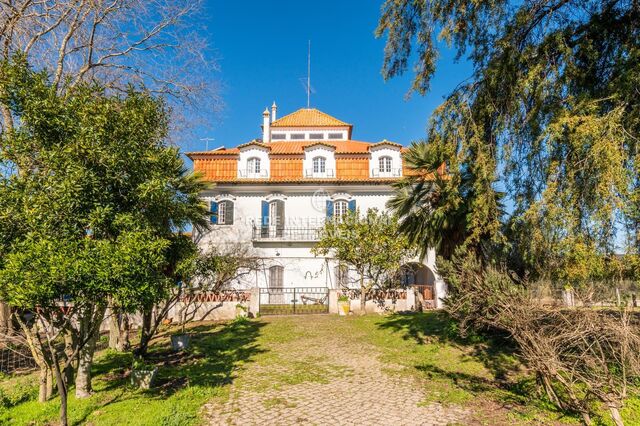 Quinta V1 Évora - terraço, jardim, varanda, arrecadação, estábulo, furo