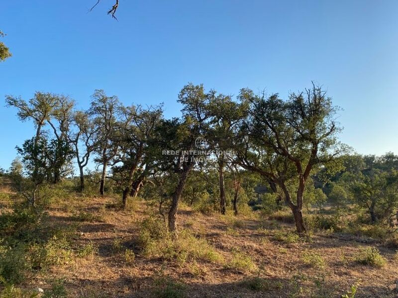 Land Rustic with 181225sqm Santiago do Cacém - fruit trees, olive trees, cork oaks