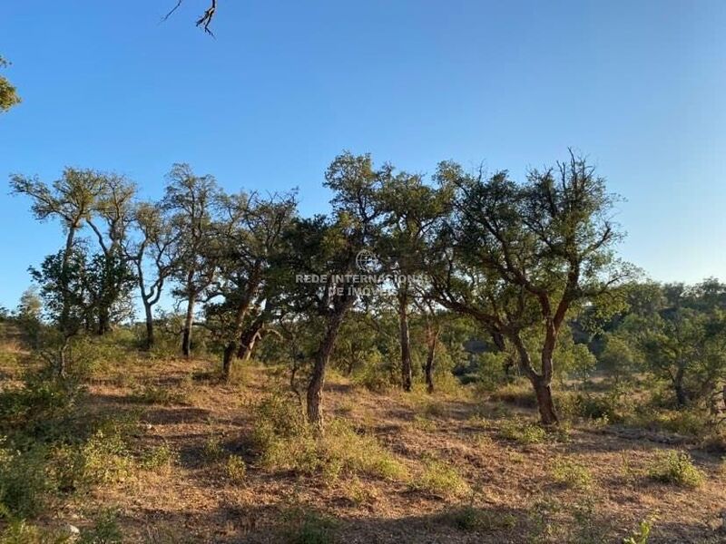 Land Rustic with 302250sqm Santiago do Cacém - olive trees, cork oaks, fruit trees
