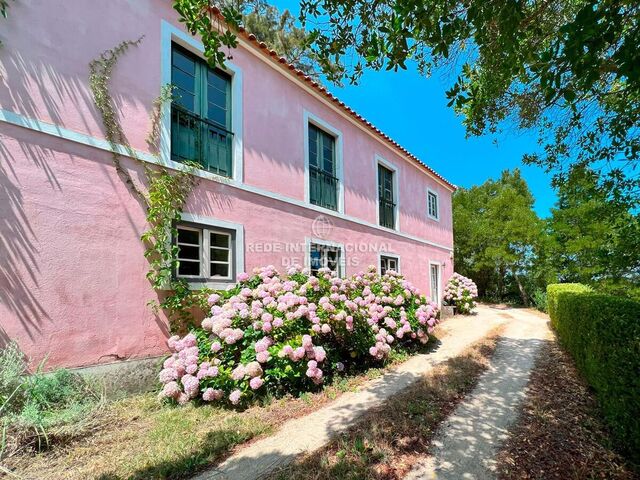 Quinta Torres Vedras - lareira