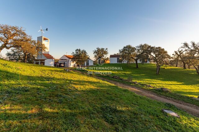 Home Typical V2+2 São Francisco da Serra Santiago do Cacém - fireplace, alarm, swimming pool, solar panels, double glazing, garden, boiler, sauna, acoustic insulation, tiled stove, store room, equipped kitchen, barbecue, heat insulation