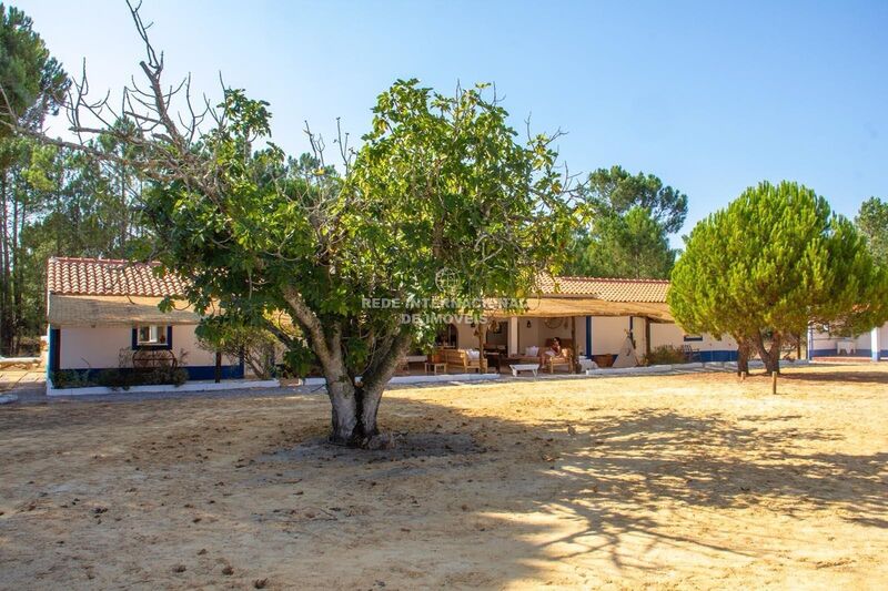 Farm nouvelle V6 Melides Grândola - garden, terrace, cork oaks, boiler, equipped, water, water hole, store room, tennis court, air conditioning, green areas, fireplace, olive trees, well, garage, swimming pool, boiler, kitchen