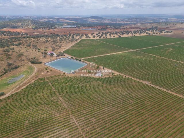 Herdade V0 Ciladas Vila Viçosa - furo, água