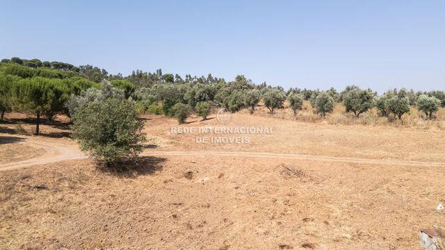 Homestead V1 álcacer do Sal Alcácer do Sal - olive trees, arable crop, equipped, water, garden, cork oaks, garage, store room, tiled stove, kitchen