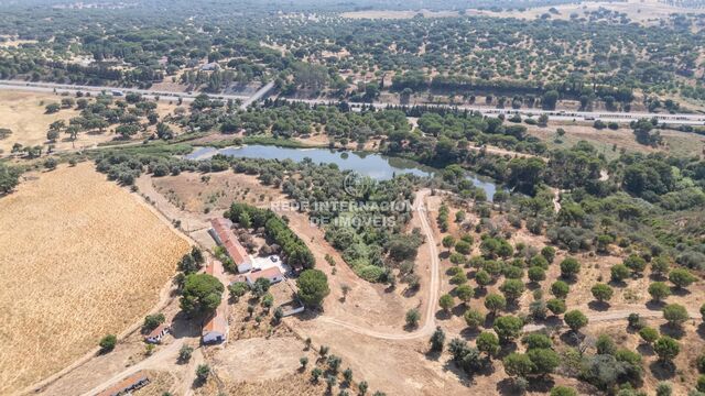 Homestead 1 bedrooms álcacer do Sal Alcácer do Sal - olive trees, arable crop, equipped, water, garden, cork oaks, garage, store room, tiled stove, kitchen