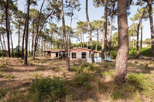 House Modern V3 Aroeira Charneca de Caparica Almada - swimming pool, garage, garden