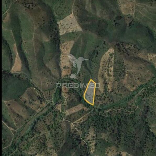 Land with 720sqm São Brás de Alportel