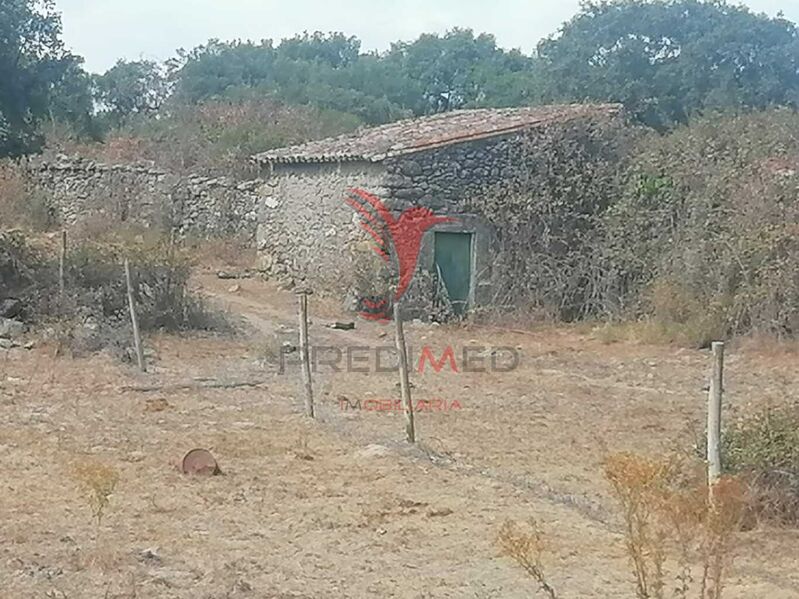 Para venda Terreno Agrícola com 42500m2 Alagoa Portalegre - oliveiras, poço, sobreiros
