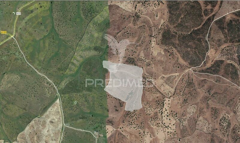 Land Agricultural with 159500sqm Montalvão Nisa - easy access, cork oaks, arable crop