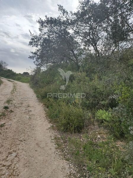 Land with 19920sqm Santarém