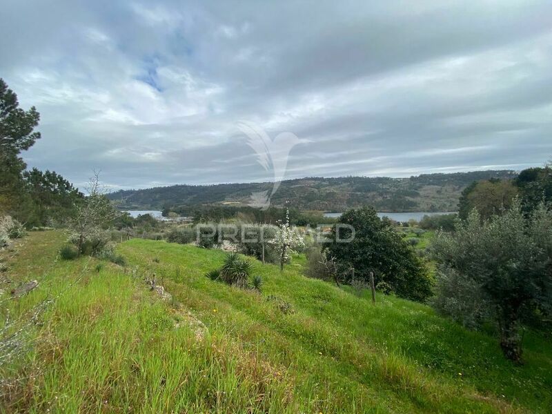 Quinta/Herdade V4 para recuperar Povolide Viseu - árvores de fruto, viabilidade de construção, poço, oliveiras, bons acessos