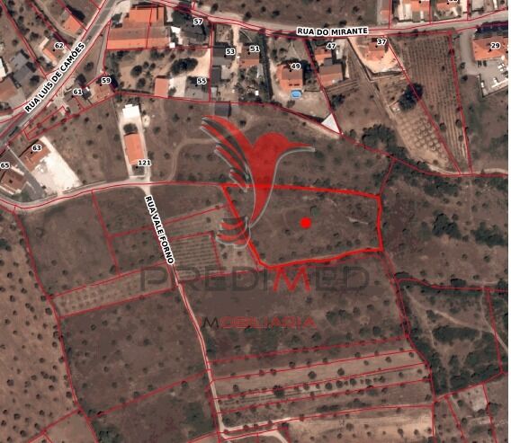 Terreno Rústico com 4495m2 para venda Nossa Senhora das Misericórdias Ourém - oliveiras