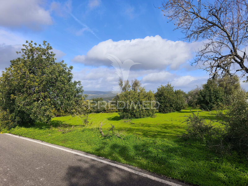 Land Urban with 6440sqm Paderne Albufeira - electricity, water