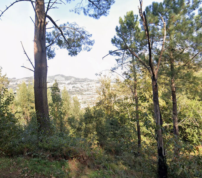 Terreno Rústico com 1200m2 Oliveira do Douro Cinfães