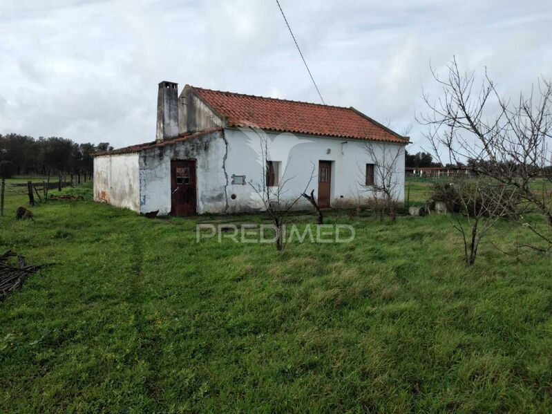 Small farm V1 Santiago do Cacém - electricity, water