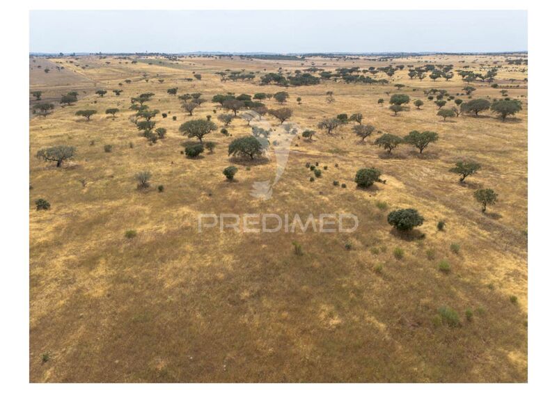 Land with 10950sqm Santo António (Capelins) Alandroal - ,