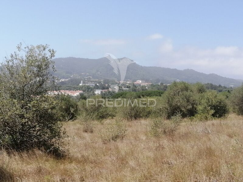 Land with 3240sqm Sintra