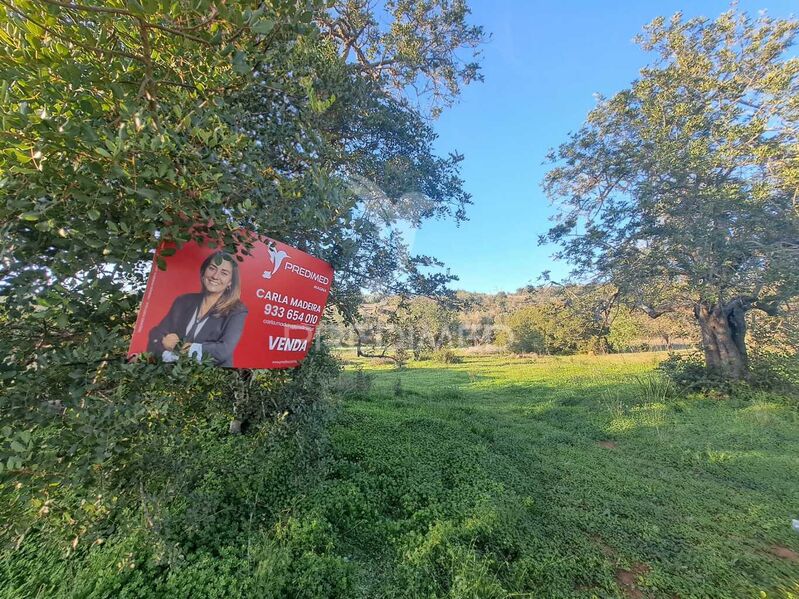 Terreno Rústico com 12200m2 São Bartolomeu de Messines Silves - bons acessos, oliveiras