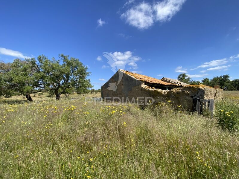 Homestead 1 bedrooms Abela Santiago do Cacém