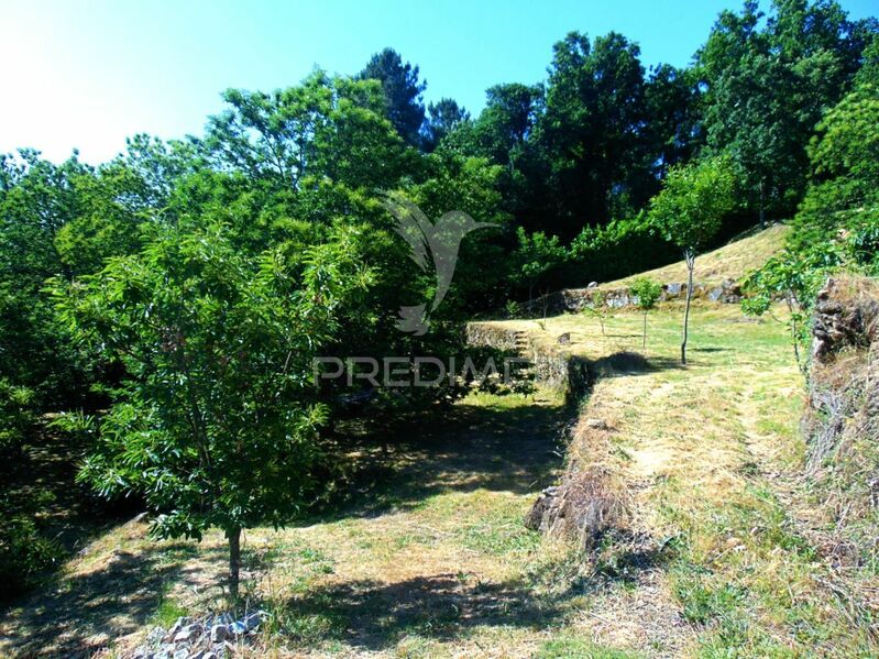Small farm V2 to recover Torgueda Vila Real - excellent access, water, electricity