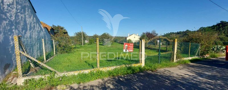 Terreno Agrícola com 1600m2 Arneiro das Milhariças Santarém - árvores de fruto, luz, poço, tanque