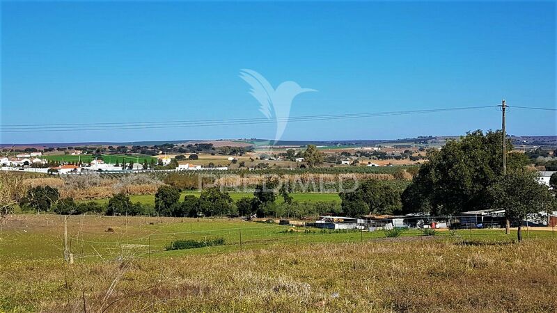 Terreno com 1000m2 Nossa Senhora das Neves Beja - água, electricidade