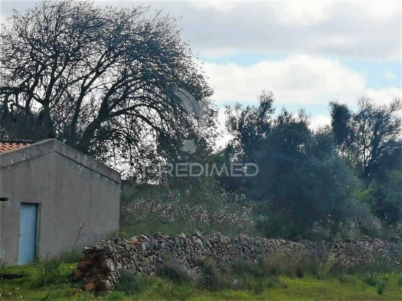 Land with 5240sqm São Bartolomeu de Messines Silves - electricity, water