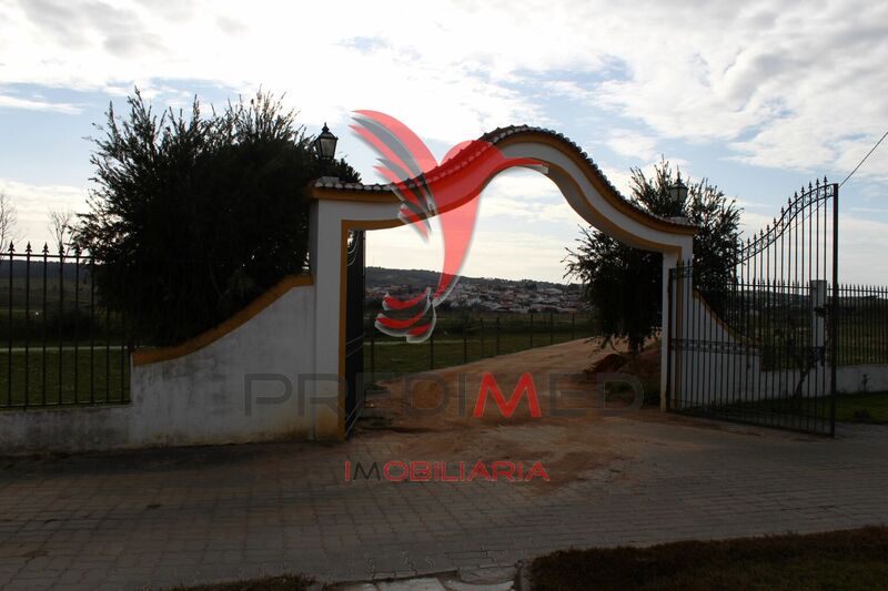 Farm V8 Santo Aleixo Monforte - fireplace, barbecue, automatic irrigation system, water, garage, swimming pool, furnished, electricity, well, water hole