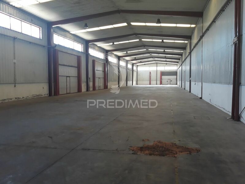 Warehouse with 1230sqm Albergaria-a-Velha