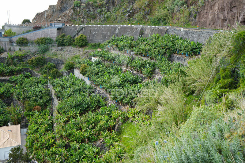 земля новые c 2295m2 Arco da Calheta Calheta (Madeira) - вид на море, очень спокойная зона