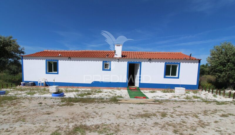 Farm 2 bedrooms Pavia Mora - well, solar panels, electricity, solar panels, water, water hole
