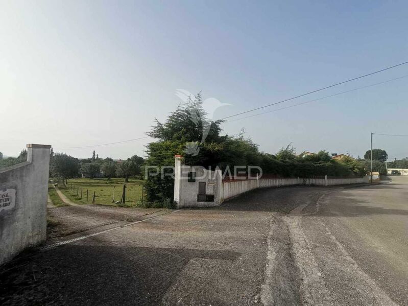 Moradia V3 Renovada Paialvo Tomar - bbq, lareira, zona calma, garagem